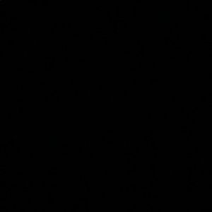 Meet your Posher, Isabella